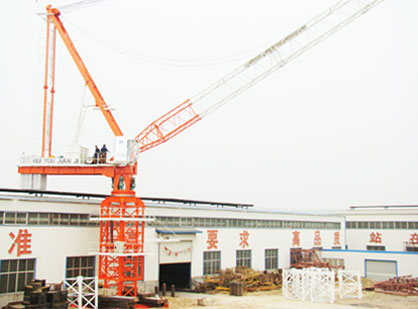 D5520動(dòng)臂塔機